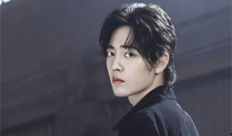 肖战最新小料爆料,揭秘神秘小料背后的故事